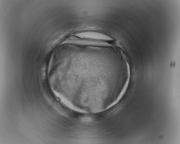 X0000112810358200909111304