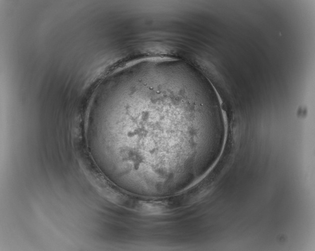 X0000112810359200909111304