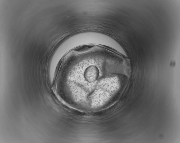 X0000112810360200909111304