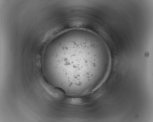 X0000112810361200909111304