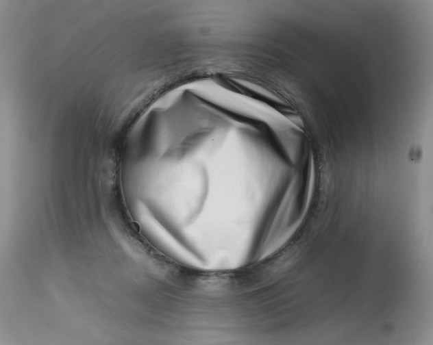 X0000112810362200909111304