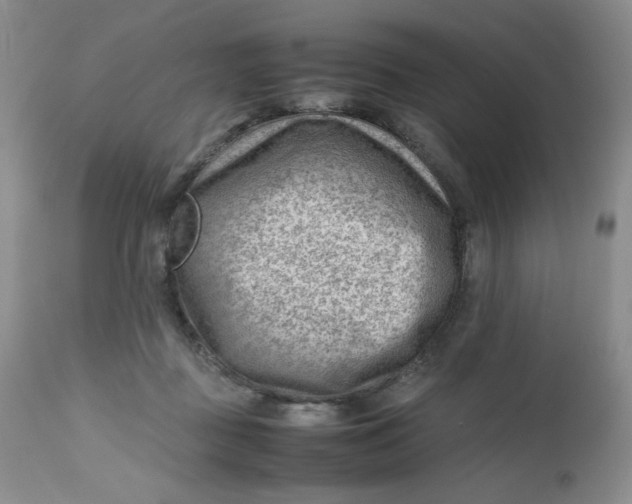 X0000112810363200909111304