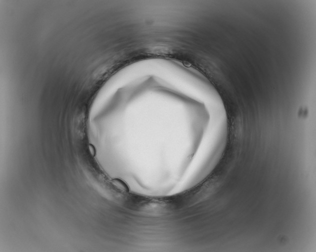 X0000112810364200909111305