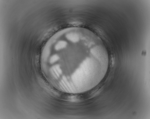 X0000112810365200909111305