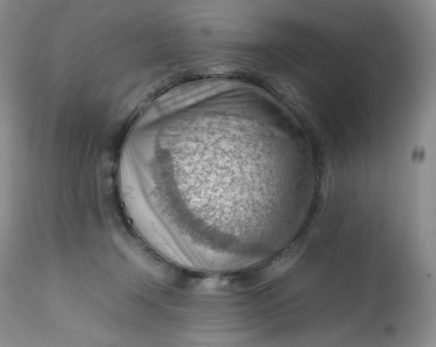 X0000112810366200909111305