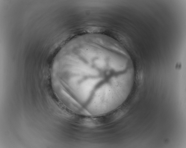 X0000112810367200909111305