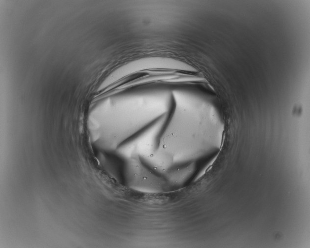 X0000112810368200909111305