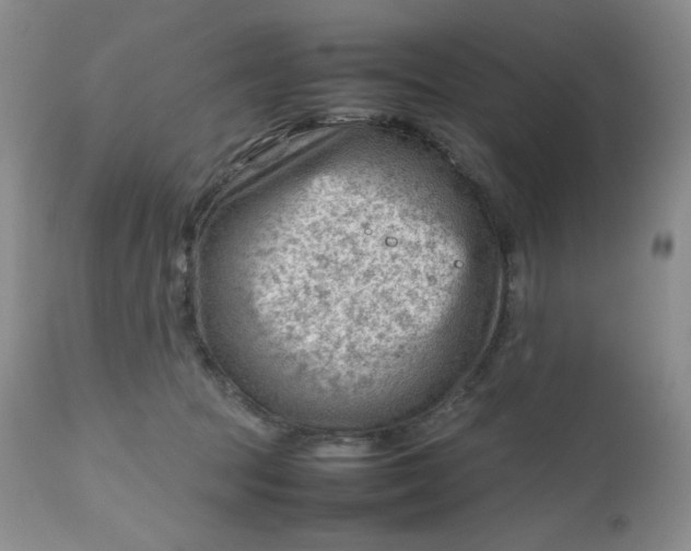 X0000112810369200909111305