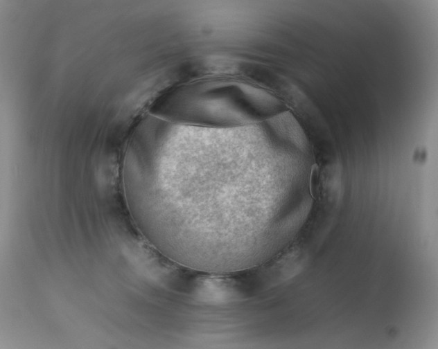 X0000112810372200909111305