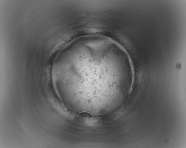 X0000112810373200909111305