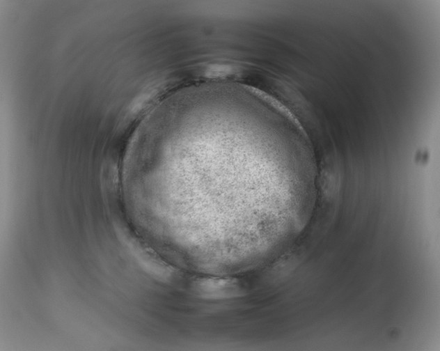 X0000112810375200909111305