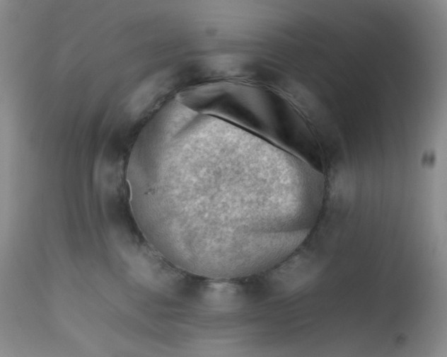 X0000112810376200909111305