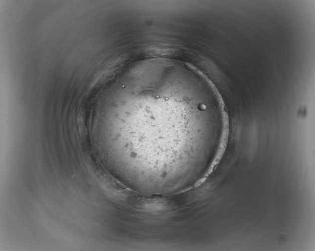 X0000112810377200909111305