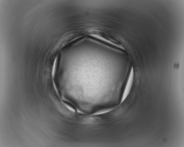 X0000112810379200909111305