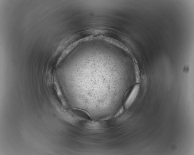 X0000112810381200909111305