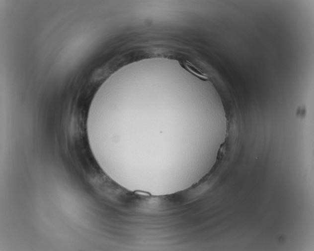 X0000112810382200909111305