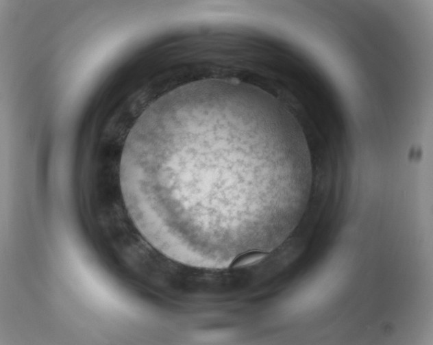 X0000112810383200909111305