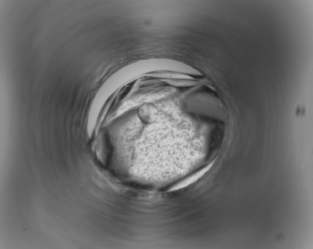 X0000112810384200909111305