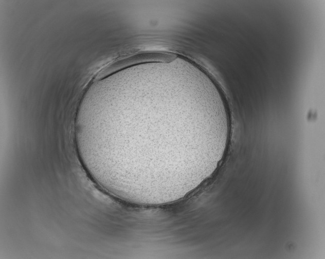 X0000112810385200909111304