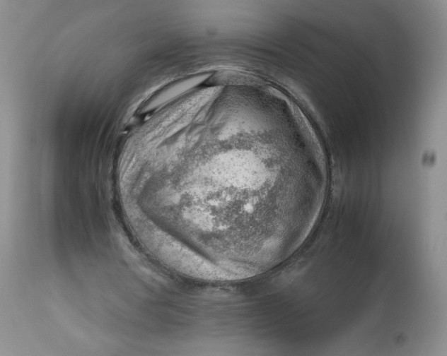 X0000112810386200909111304