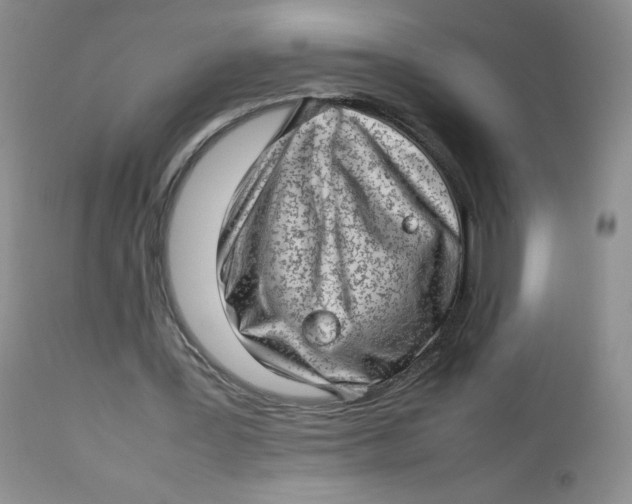 X0000112810387200909111304