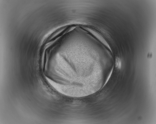 X0000112810388200909111304