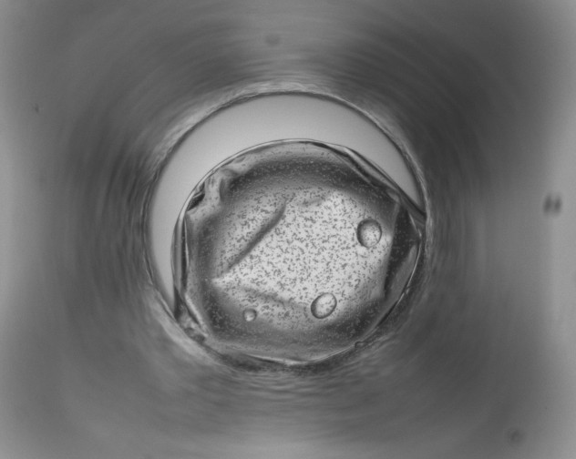 X0000112810389200909111304