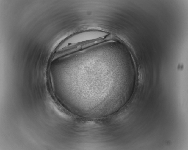 X0000112810390200909111304