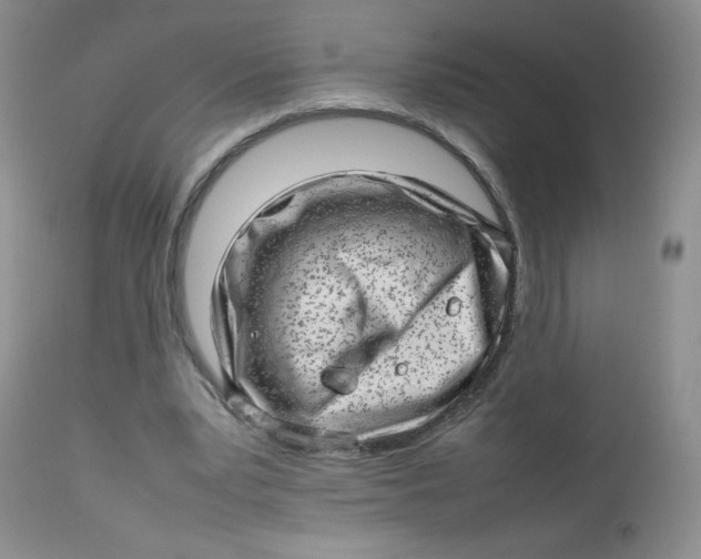 X0000112810391200909111304