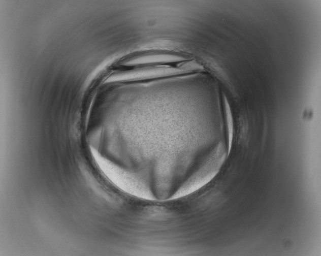 X0000112810392200909111304