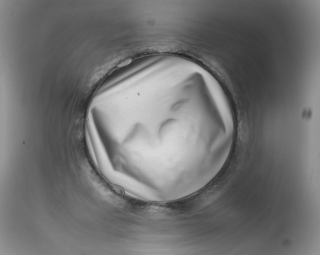 X0000112810393200909111304