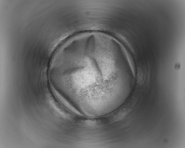 X0000112810394200909111304