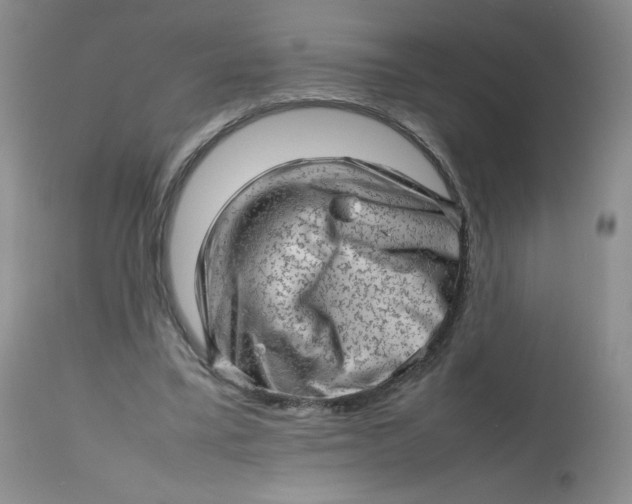 X0000112810395200909111304