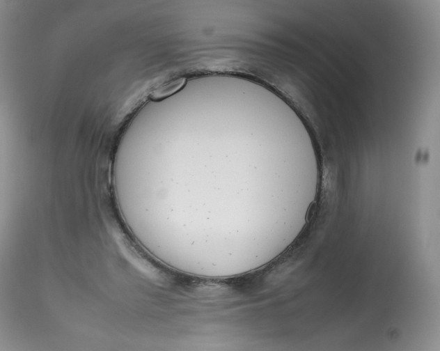 X0000112810397200909111304