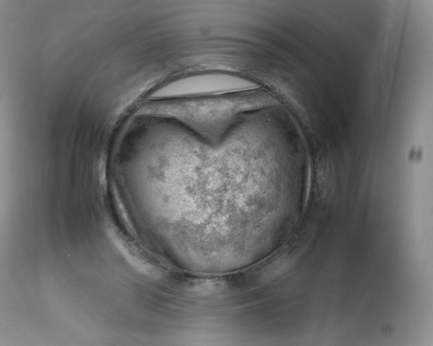 X0000112810398200909111304