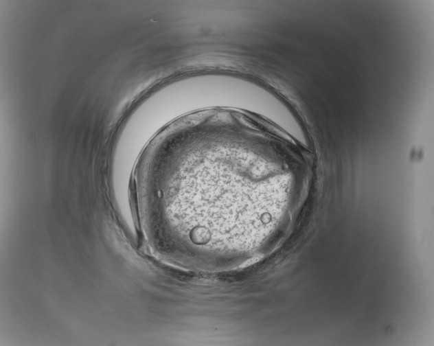 X0000112810399200909111304