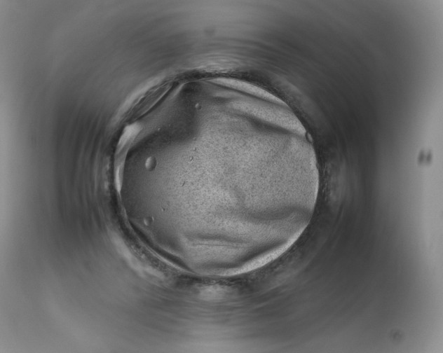 X0000112810400200909111304