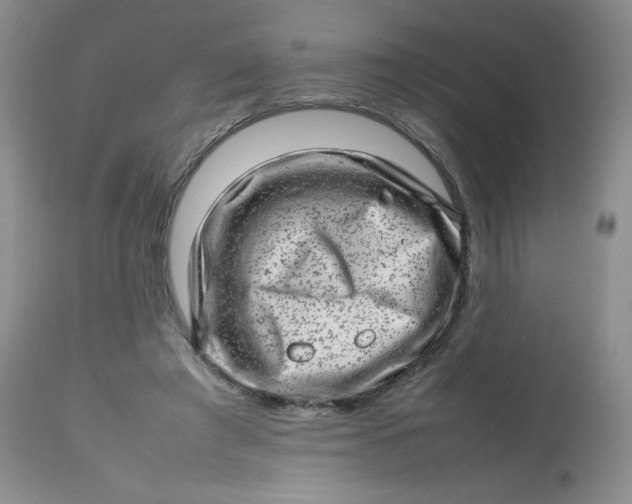 X0000112810401200909111304