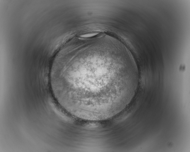 X0000112810402200909111304