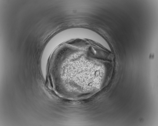 X0000112810405200909111304