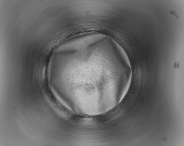 X0000112810406200909111304