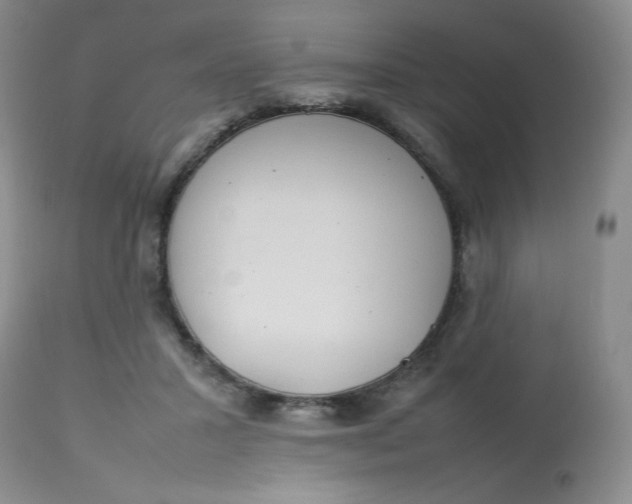 X0000112810407200909111304