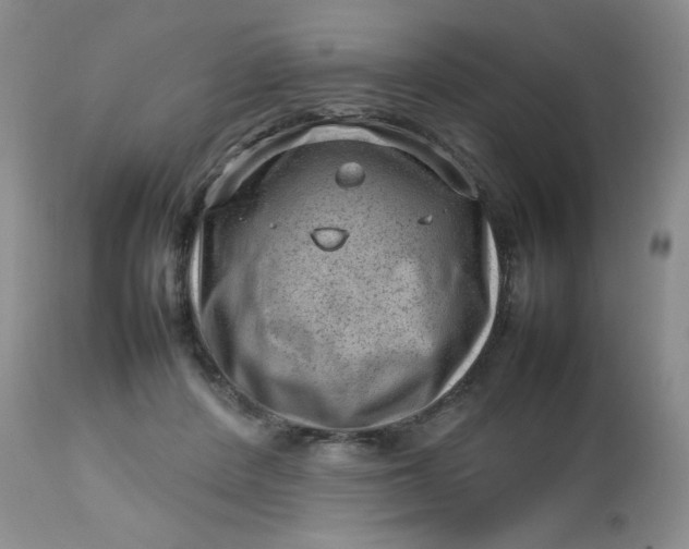 X0000112810408200909111304