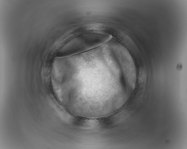 X0000112810409200909111304