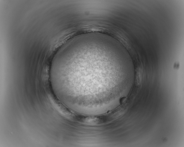 X0000112810410200909111304