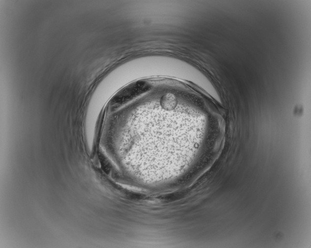 X0000112810411200909111304