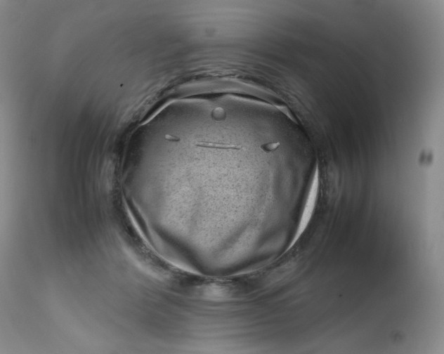 X0000112810412200909111304