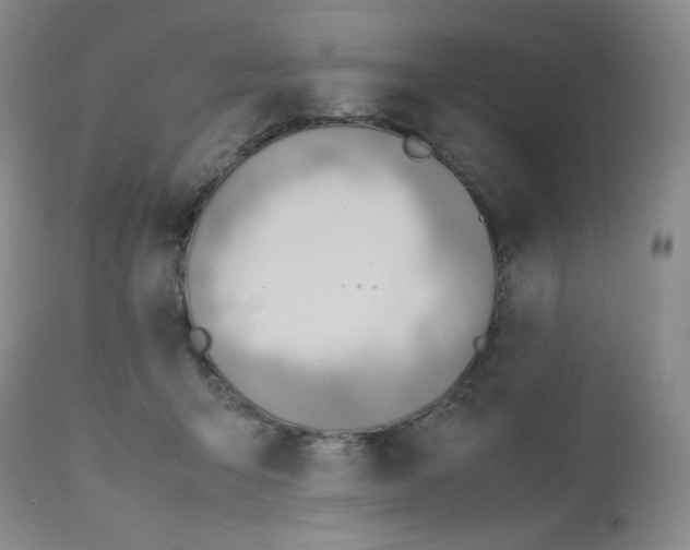 X0000112810415200909111304