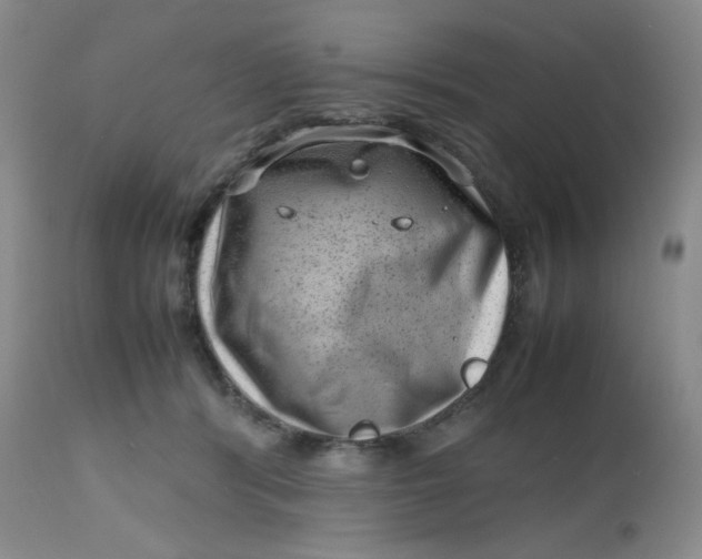 X0000112810416200909111304