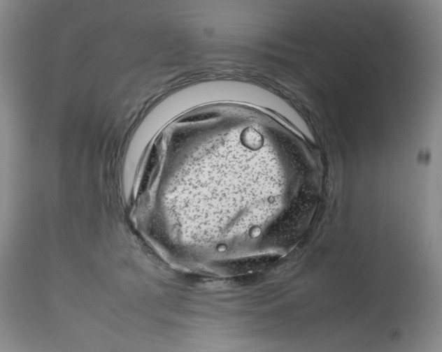 X0000112810417200909111304